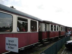 IMG_0066 (Medium)
